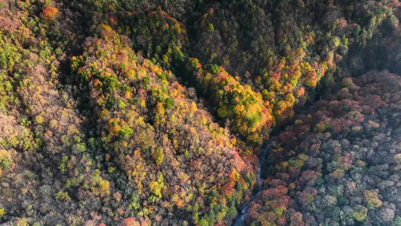 光雾山的迷人晚秋视频素材