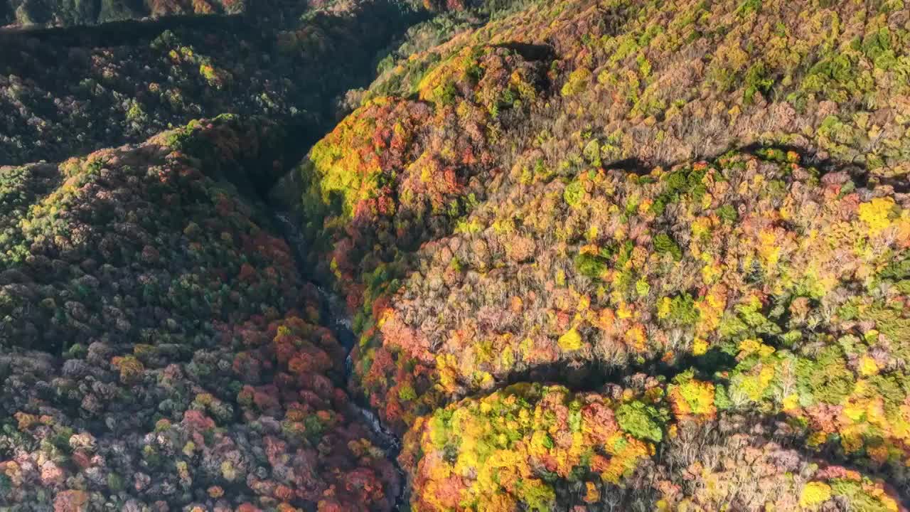 光雾山的迷人晚秋视频素材