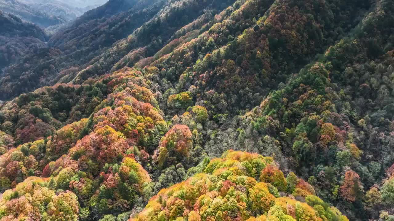 光雾山的迷人晚秋视频素材