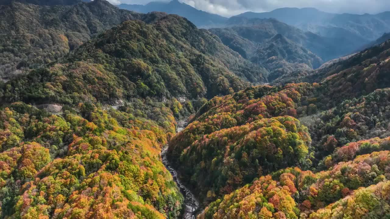 光雾山的迷人晚秋视频素材