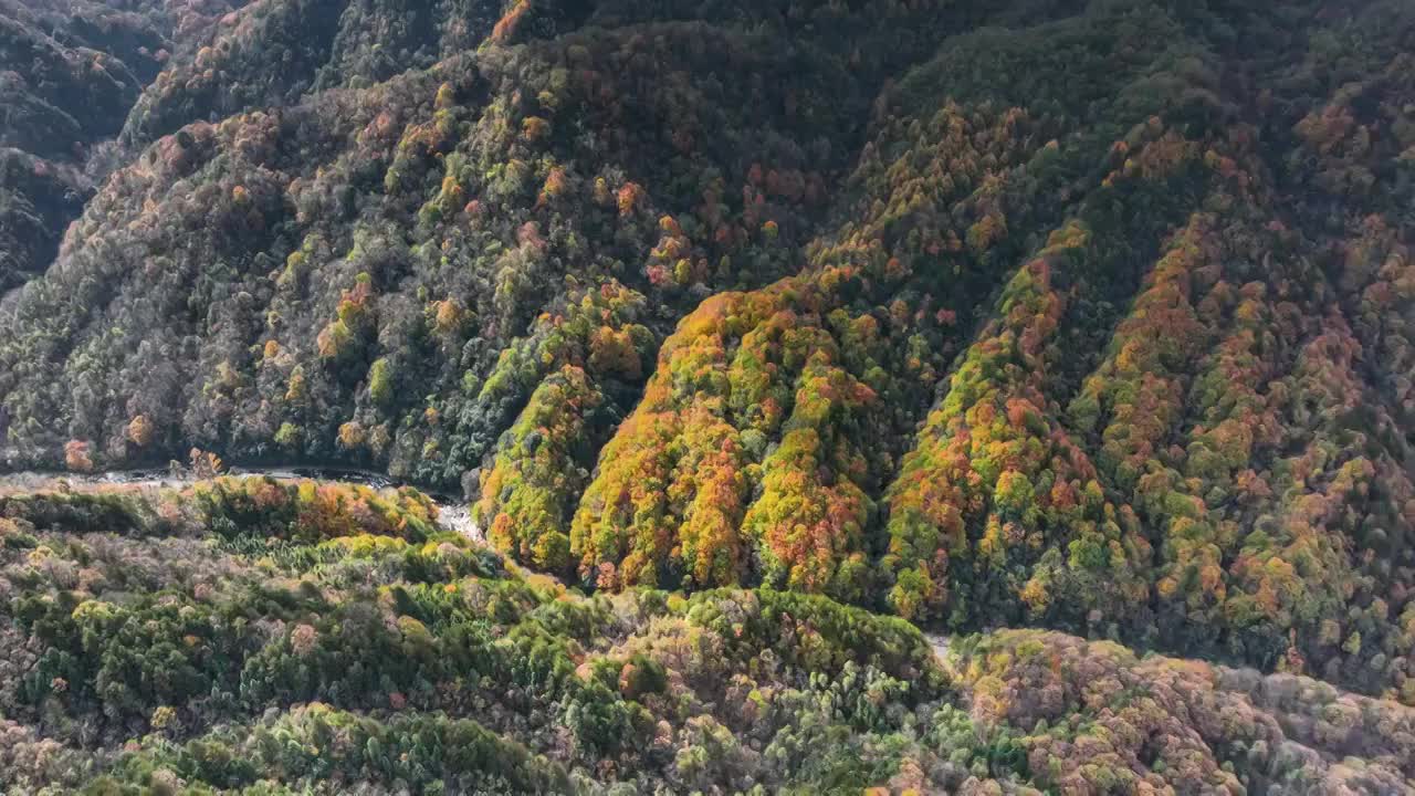 光雾山的迷人晚秋视频素材