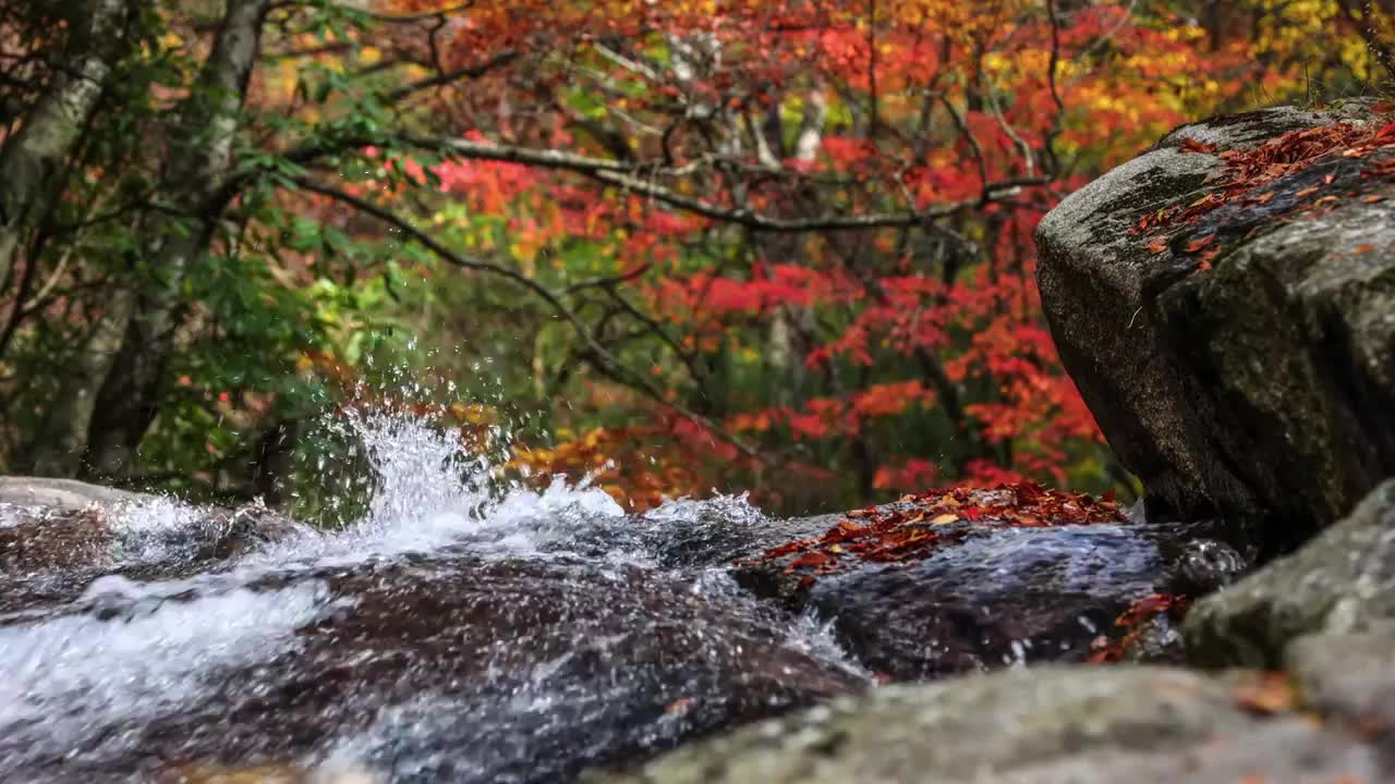 深藏在光雾山中的小瀑布视频下载