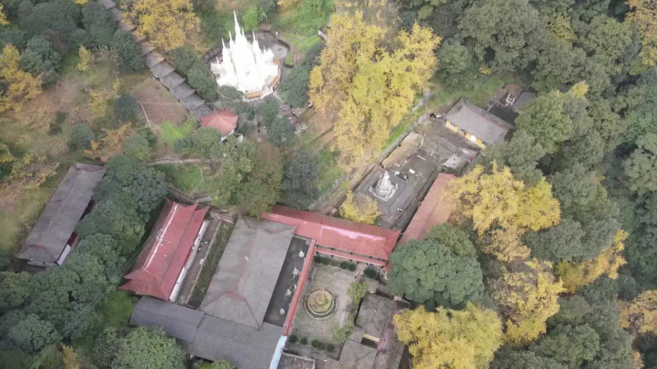 大邑白岩寺秋天银杏航拍风光视频素材