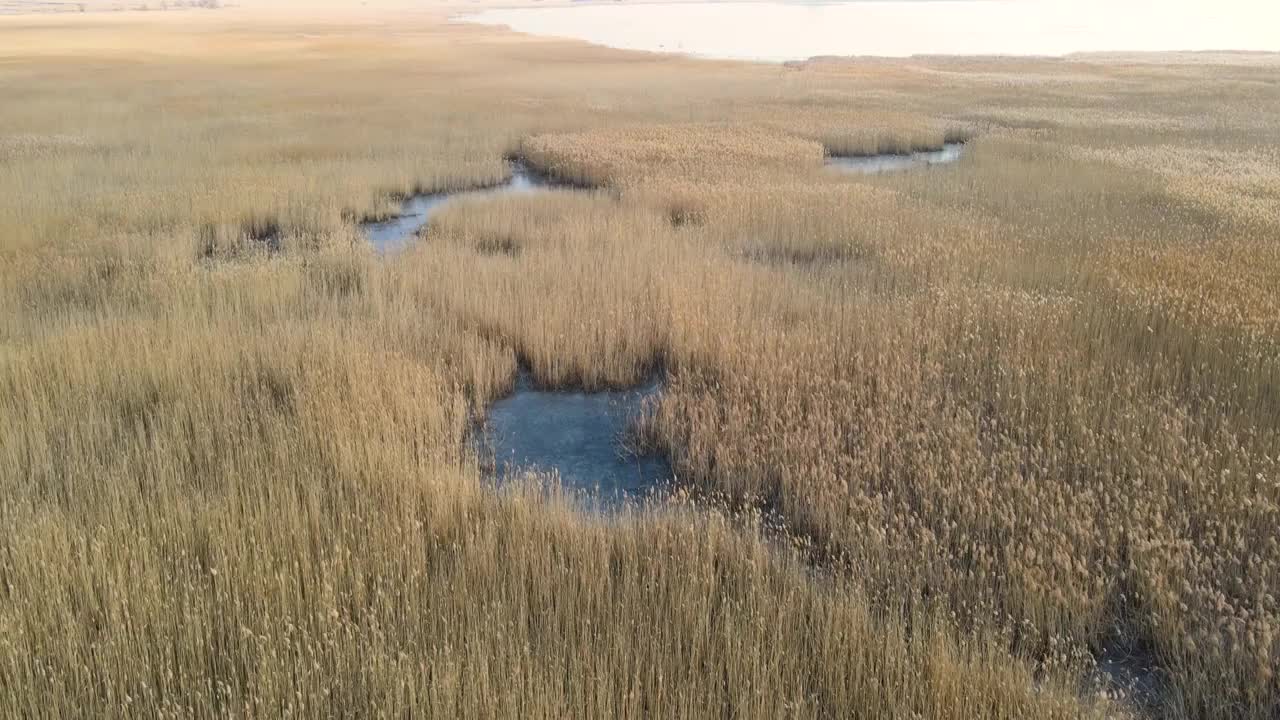 正上方视角拍摄的扎龙湿地冬天冻结的湖面视频素材