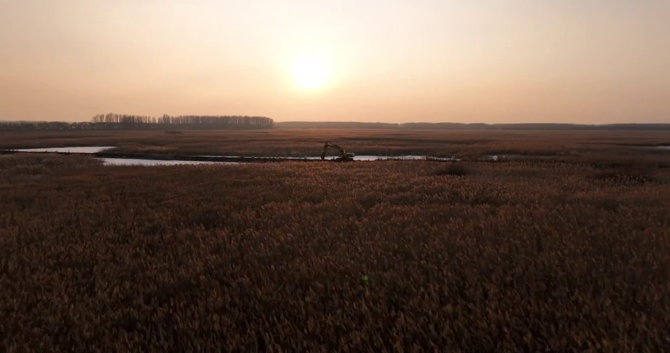 湿地航拍冬季视频下载