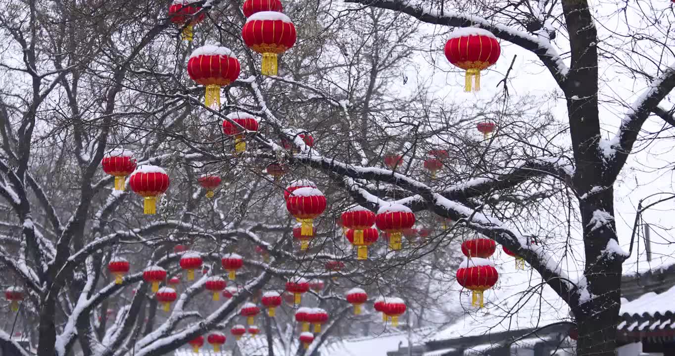 北京雪后树上的红灯笼节日氛围（合集）视频素材