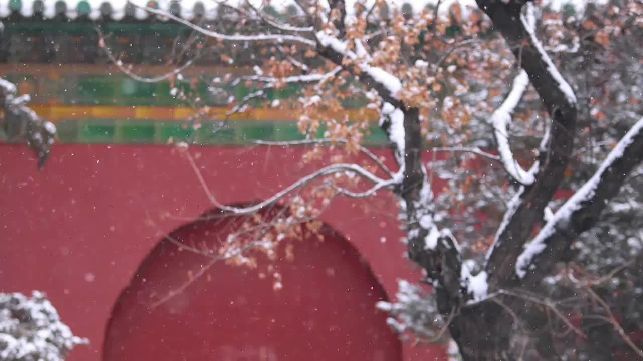 北京冬雪（合集）视频素材