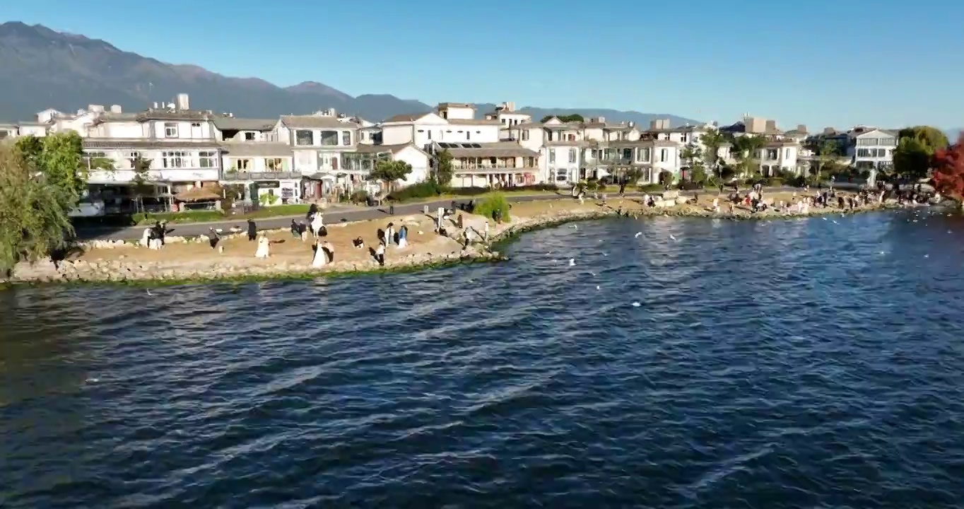 航拍大理洱海边的游客和海鸥视频素材