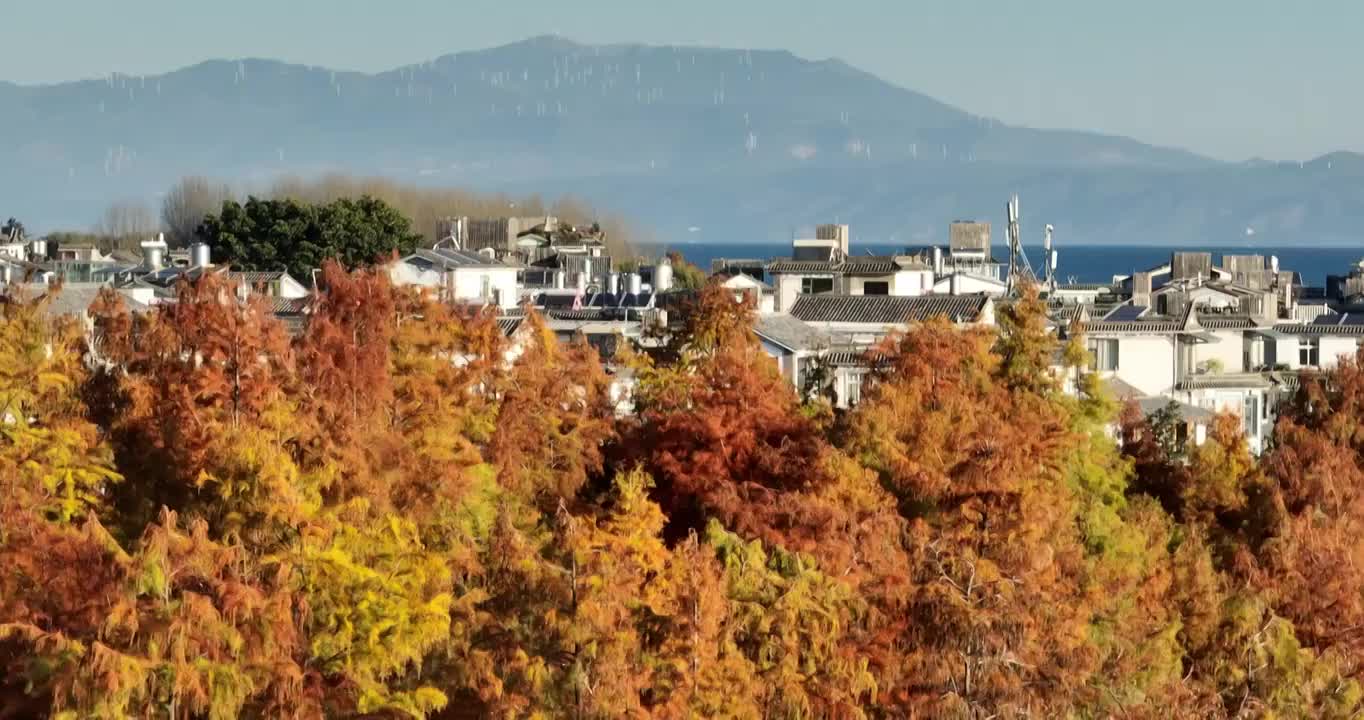 航拍洱海边的白族村庄传统建筑视频素材