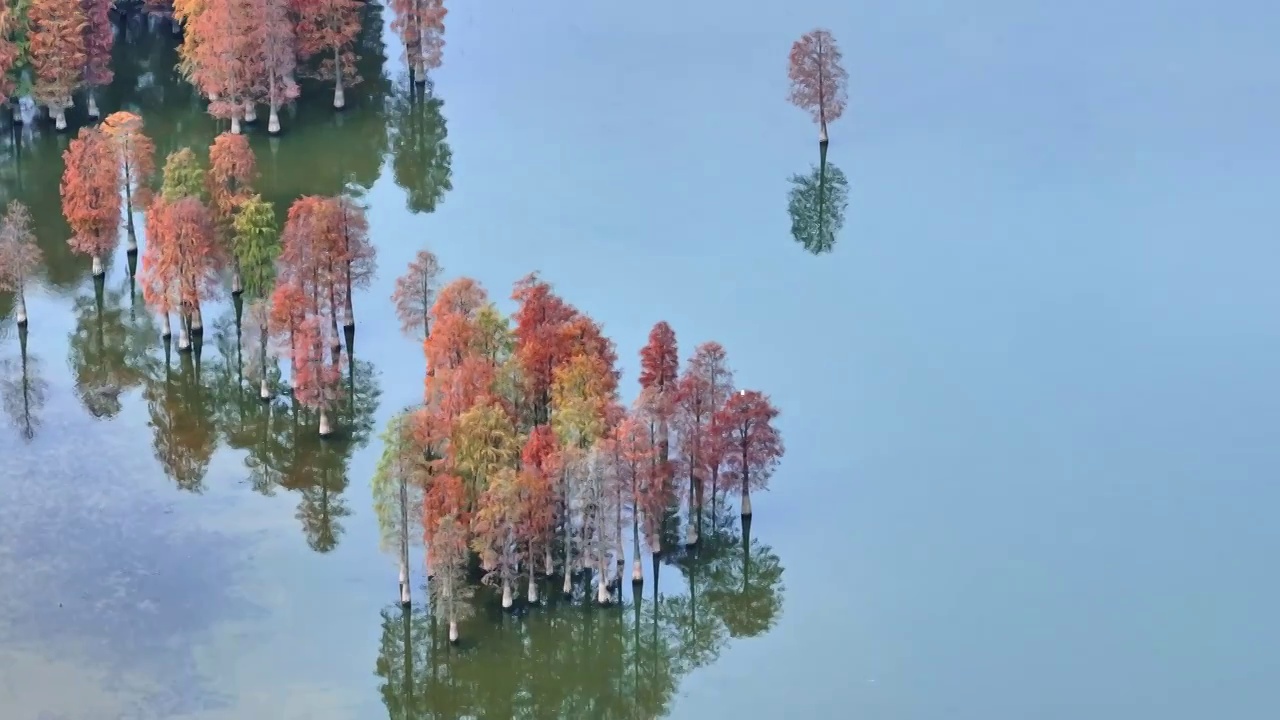 秋季的四明湖视频素材