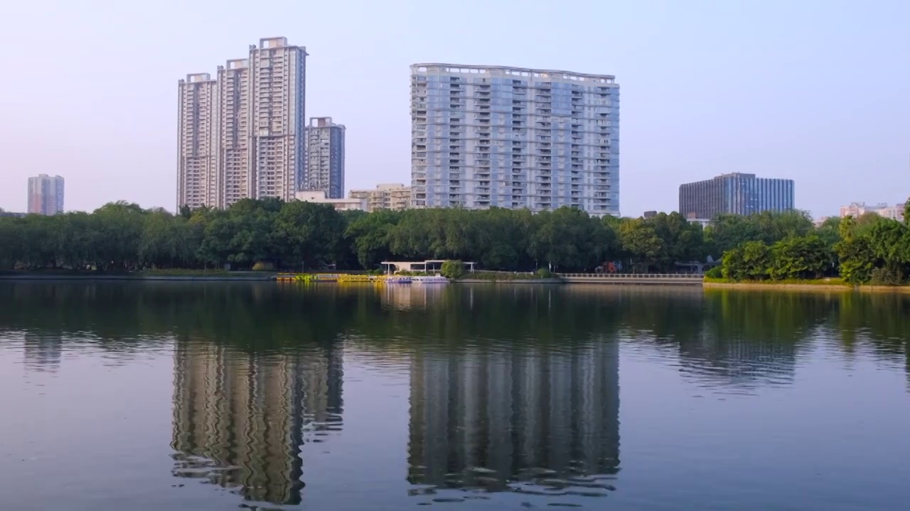 广州流花湖公园湖泊绿树与城市建筑景观视频素材