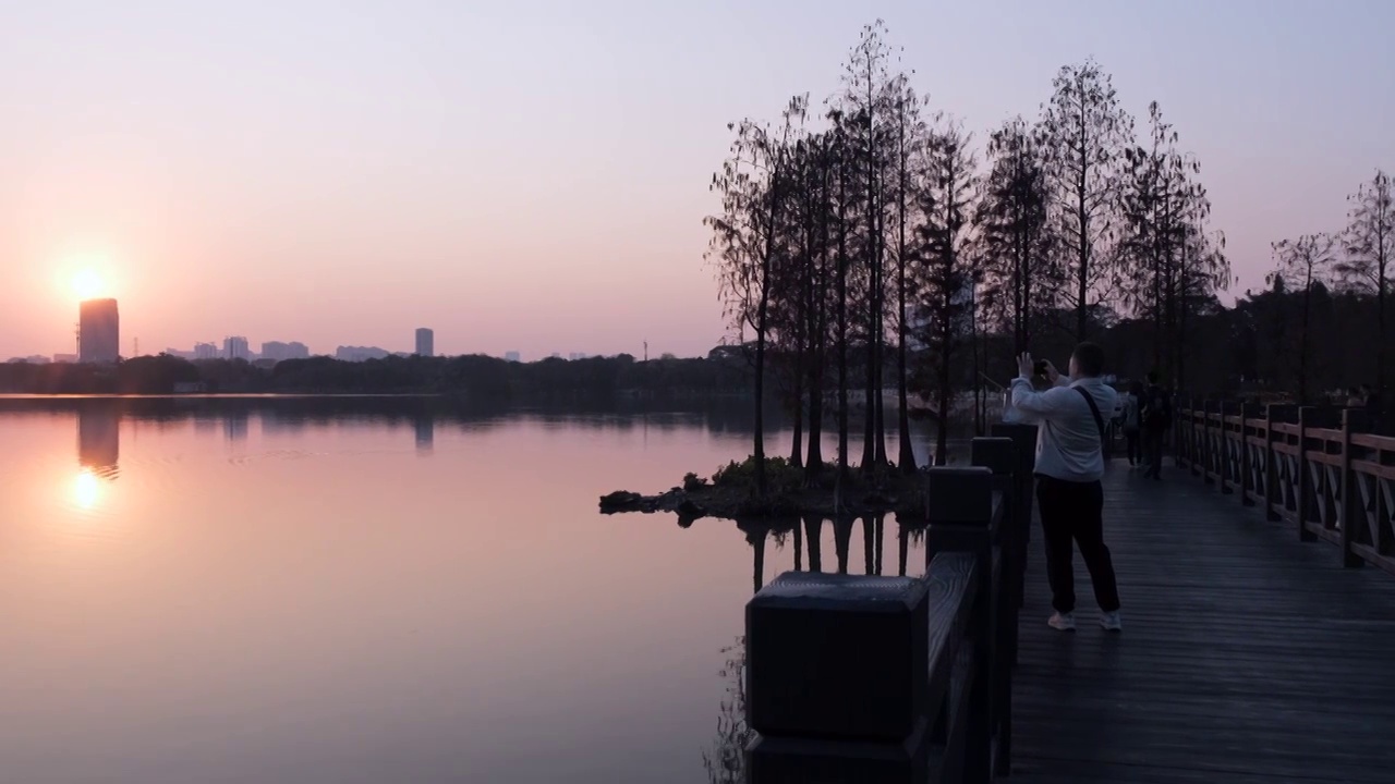 广州海珠湖公园夕阳晚霞唯美自然风光视频素材