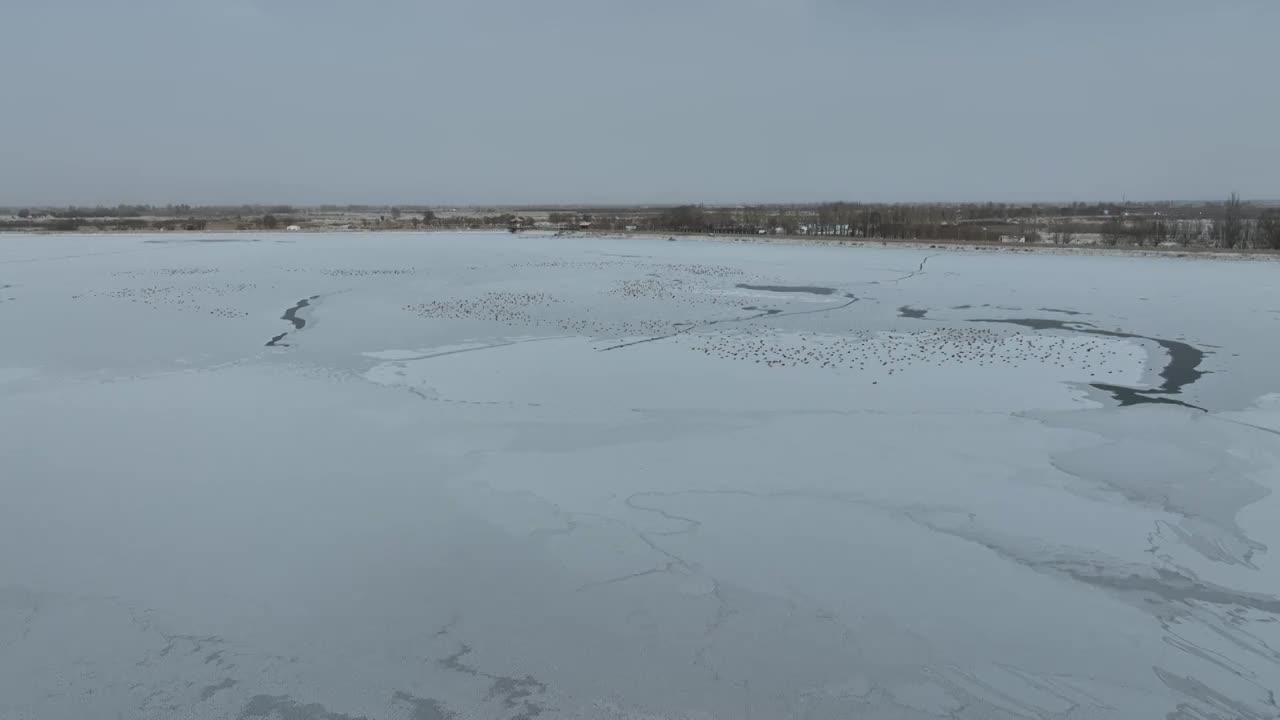 冬季冰冻白雪覆盖湖泊视频素材