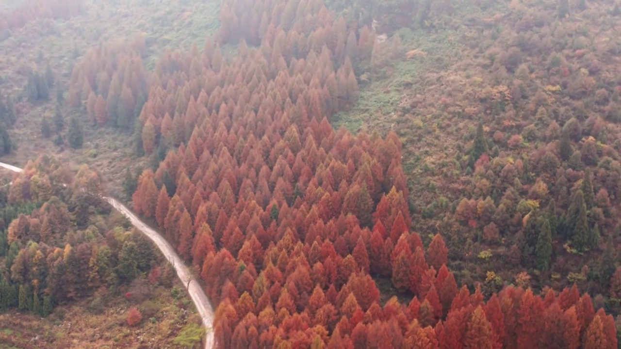 4K30P南川风吹岭航拍视频视频素材