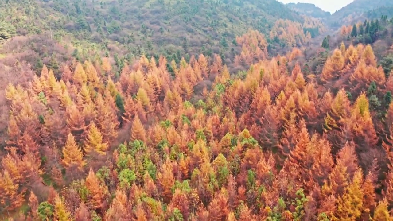 4K30P重庆丰都玉带山秋季风光航拍视频视频素材