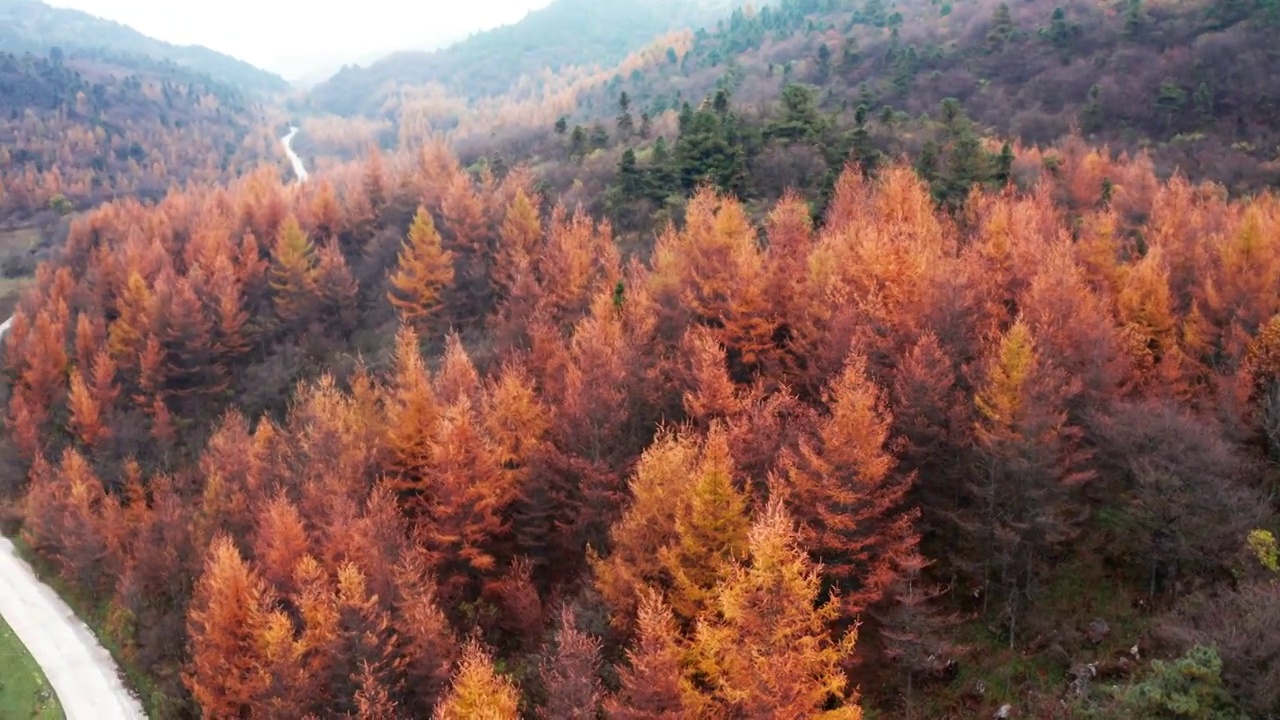 4K30P重庆丰都玉带山秋季风光航拍视频视频素材