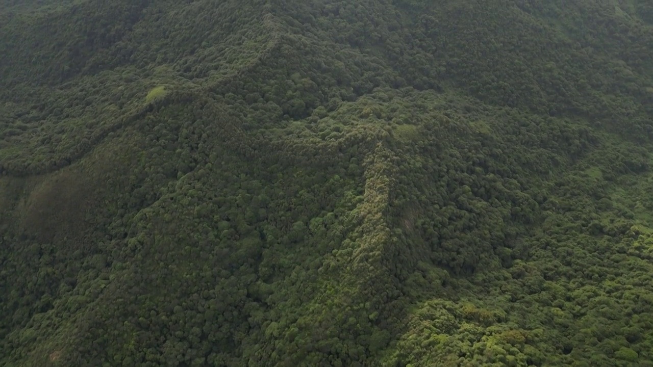 深圳阳台山森林公园视频素材