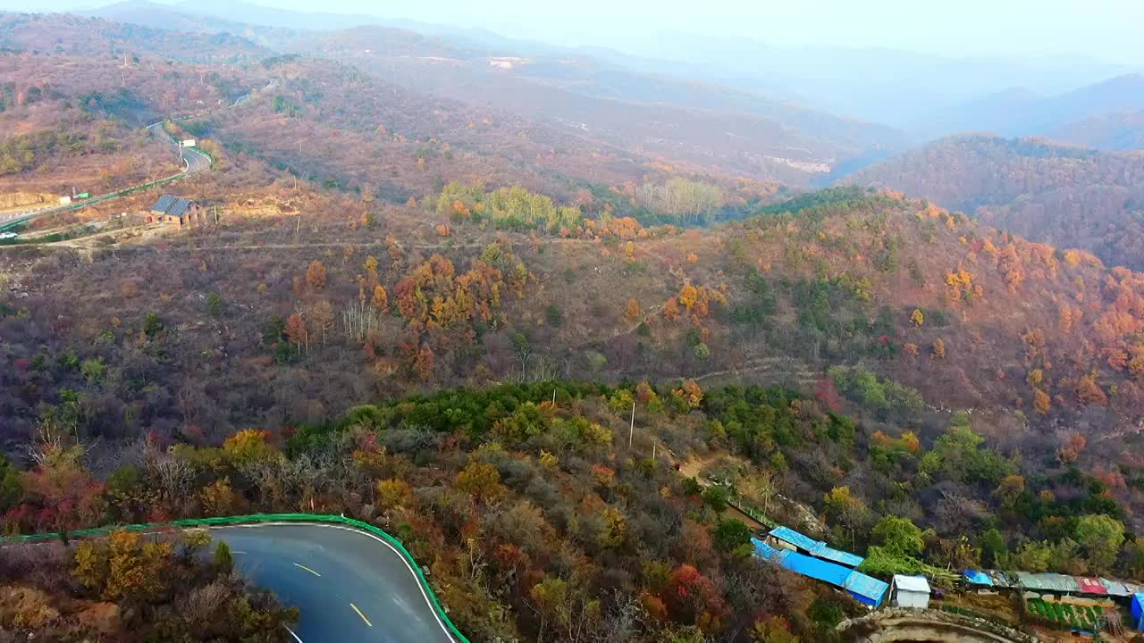 秋天漫山红叶黄叶视频素材