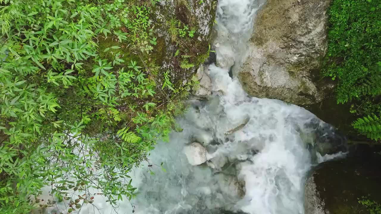 高山峡谷崇州市九龙沟溪石流水视频素材