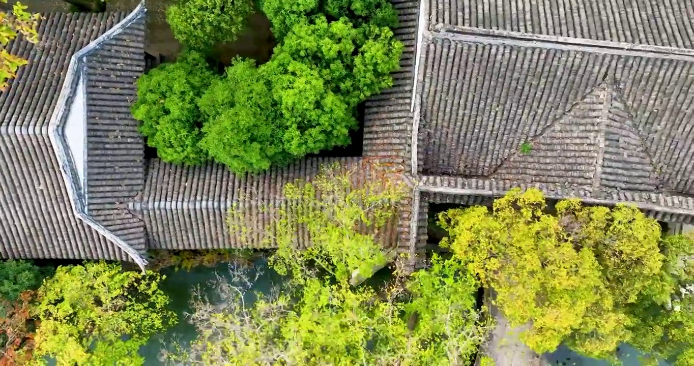 江苏苏州沧浪亭秋季航拍视频素材