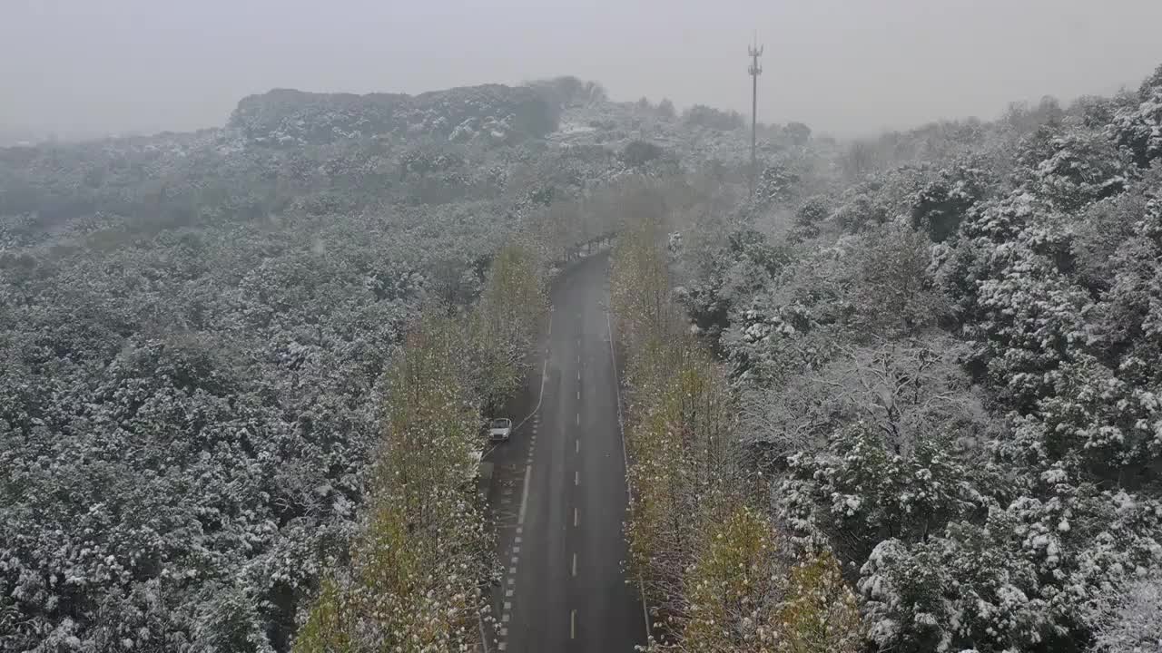 航拍杭州超山风景区雪后道路鸟瞰图视频素材