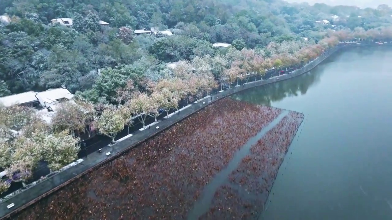 保俶塔飞雪视频素材