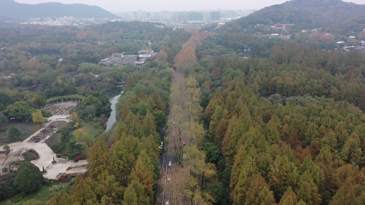 航拍杭州西湖杨公堤秋色视频素材