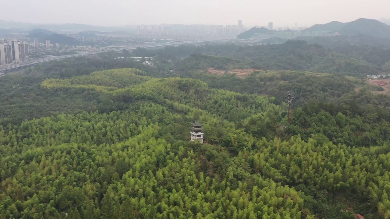 航拍杭州临安青山湖景区杉树林视频素材