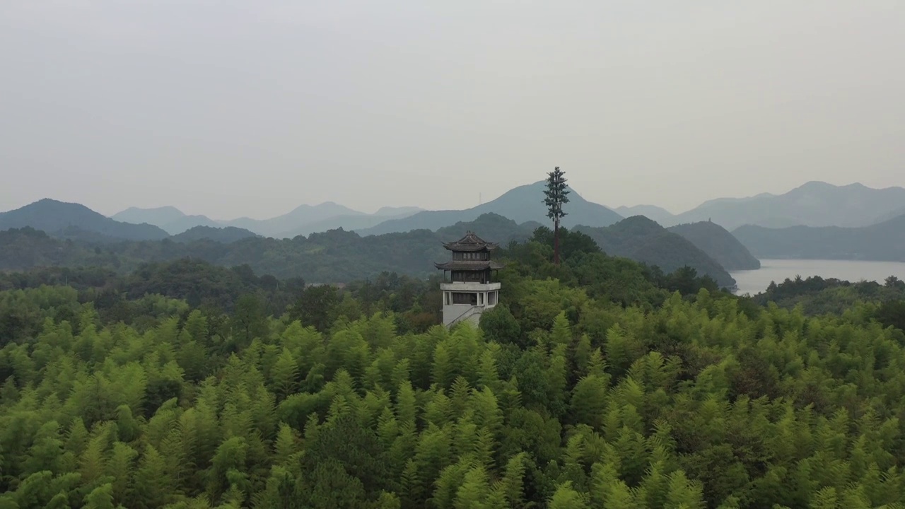 航拍杭州临安青山湖景区杉树林视频素材