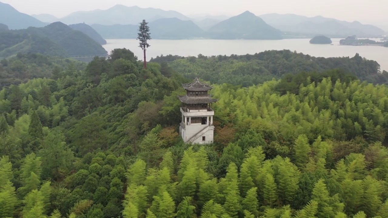 航拍杭州临安青山湖景区杉树林视频素材