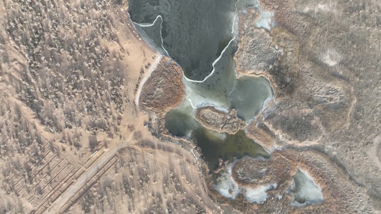 冬季黑河湿地视频素材