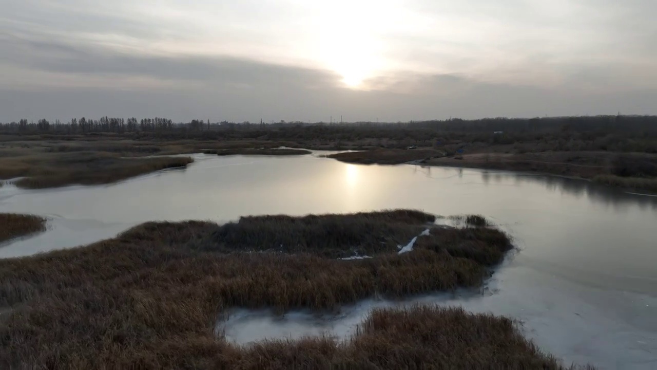 冬季黑河湿地视频素材