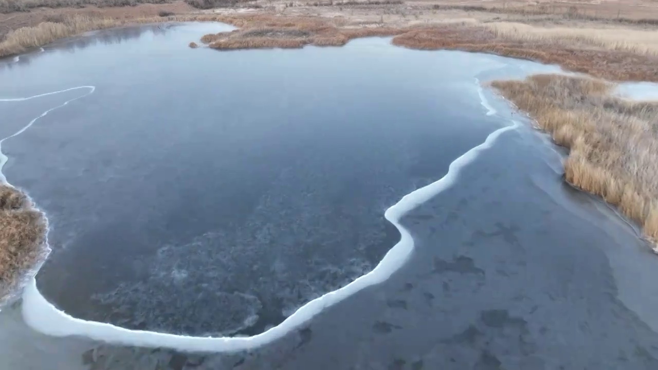 冬季黑河湿地视频素材