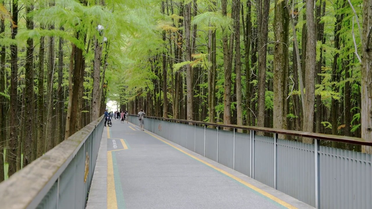 青山湖视频素材