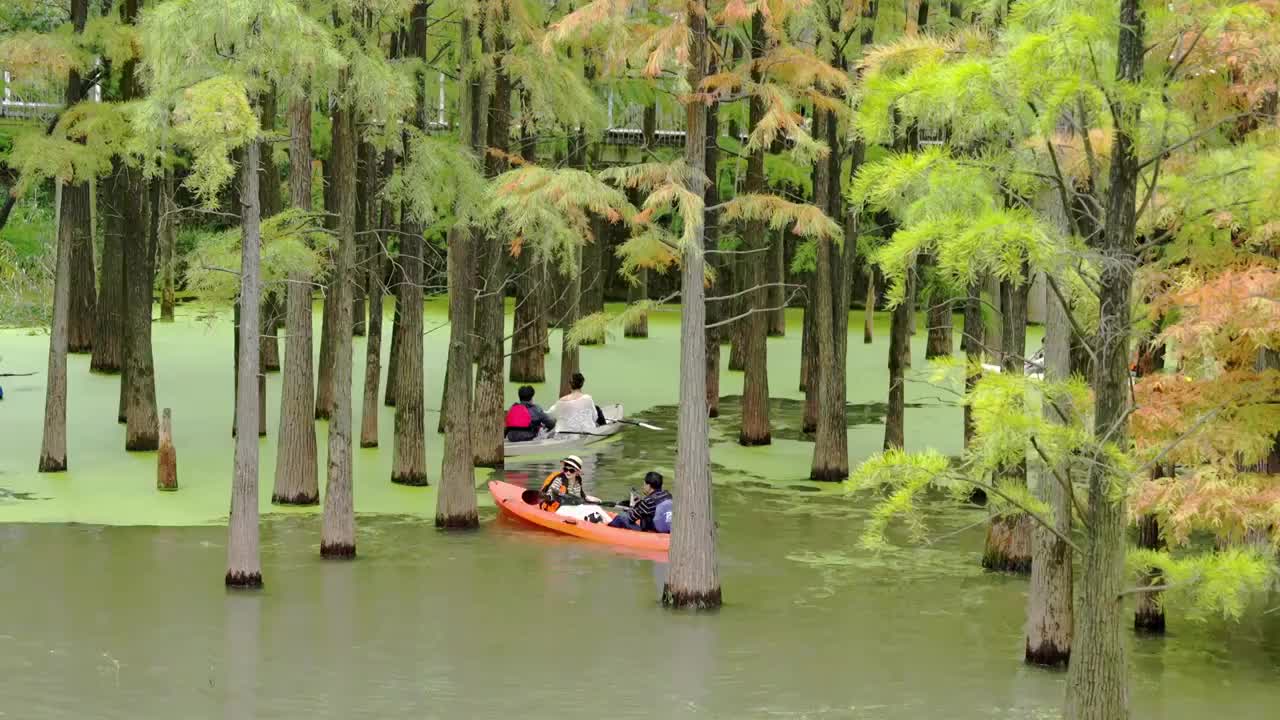 青山湖视频素材