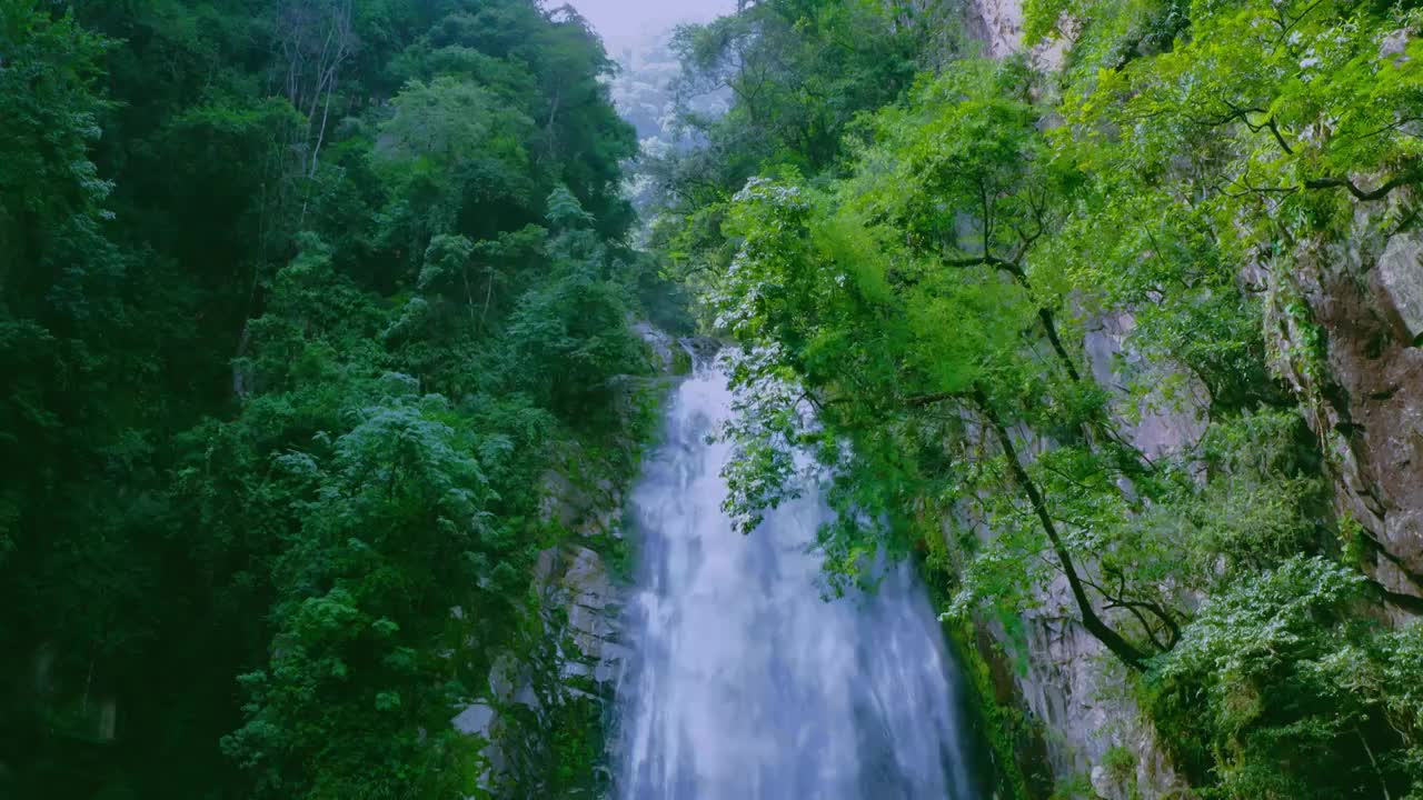 高黎贡山美人瀑视频素材