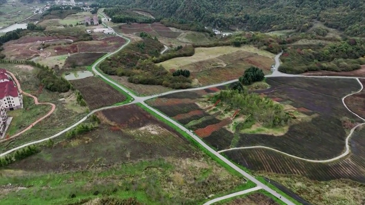 高山草甸重庆巫溪红池坝视频素材