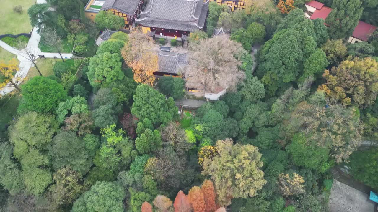 航拍重庆北碚缙云山景区缙云寺佛教古建筑视频素材