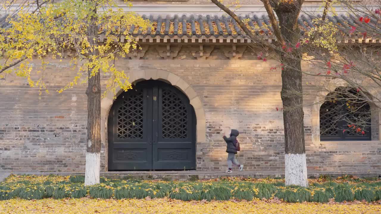 秋天南京钟山风景区灵谷寺银杏叶飘落视频下载