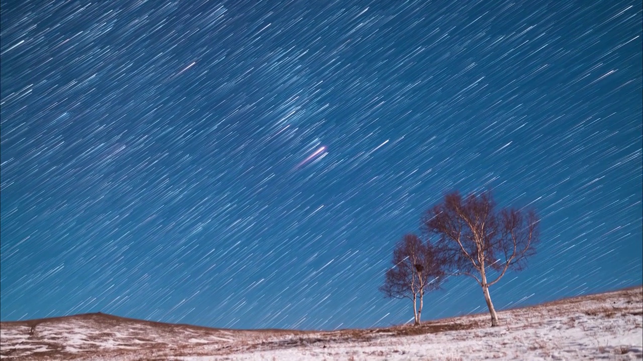 星空延时：河北丰宁坝上白桦林夜空星轨视频素材