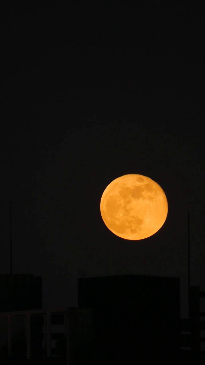 夜晚天空一轮圆月升起视频素材