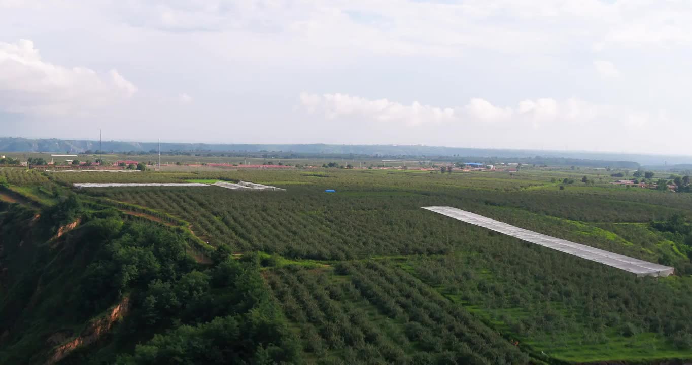 陕西延安洛川苹果基地航拍（合集）视频下载