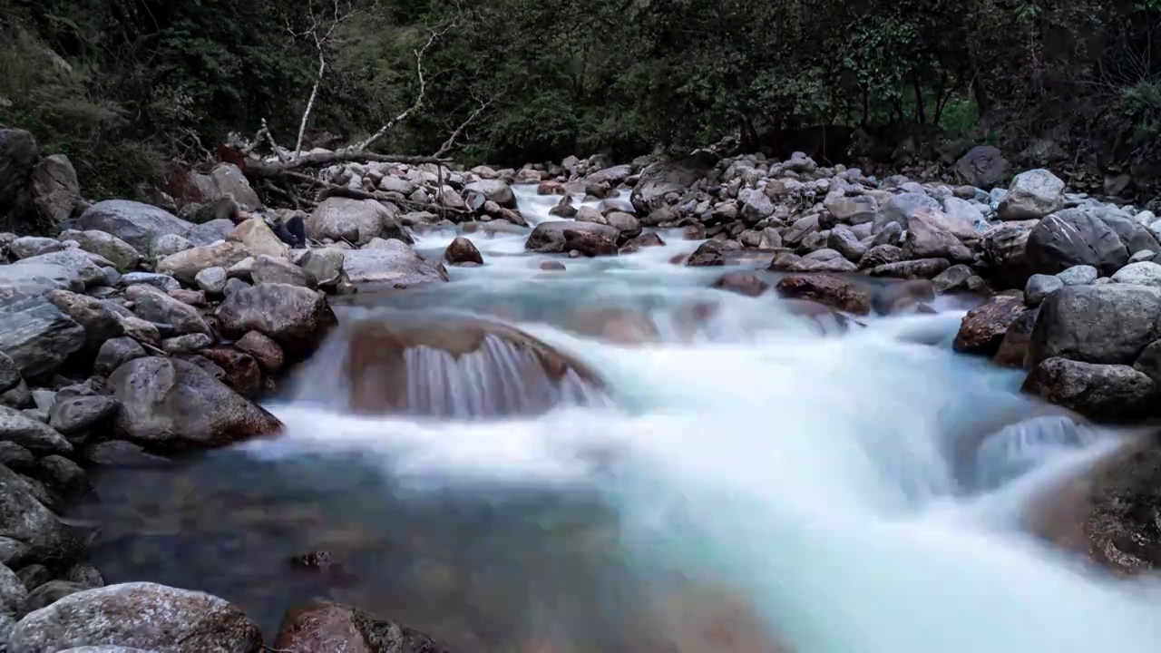 小溪水流拉丝石头绿植视频素材