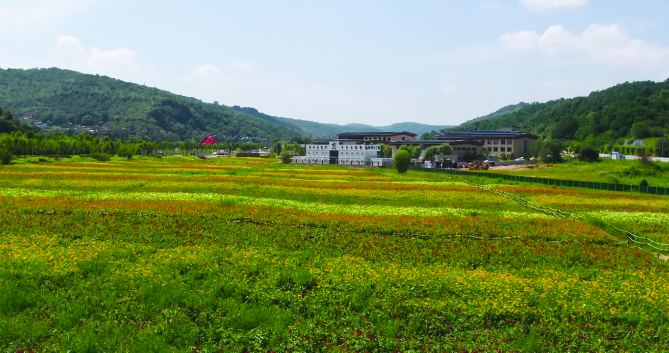 陕西延安南泥湾景区航拍视频素材