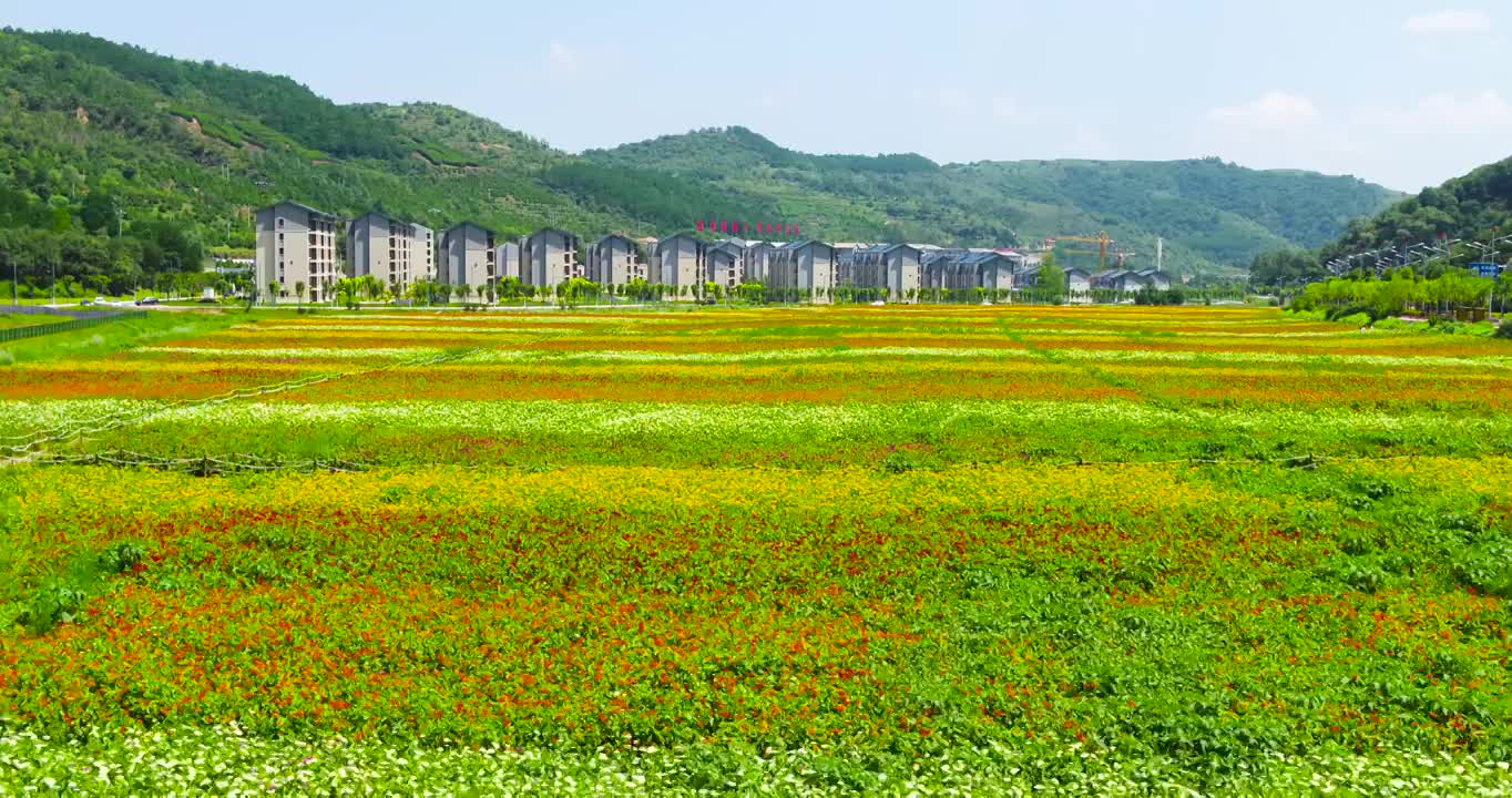 中国新农村建设新貌航拍视频下载