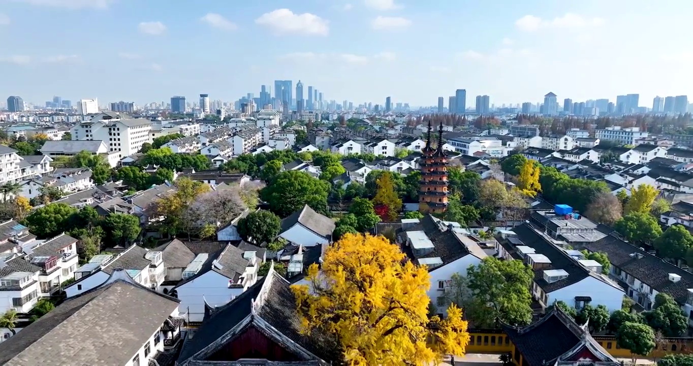 江苏苏州定慧寺及罗汉院双塔秋季航拍视频素材