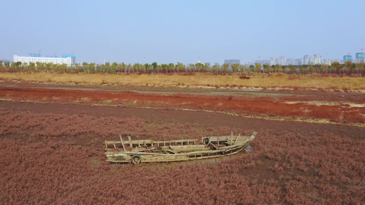 青岛胶州湾洋河入海口湿地航拍视频素材