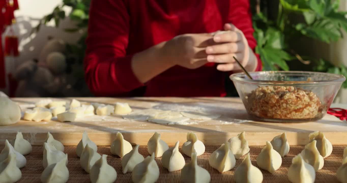 冬至节气,下雪包饺子书法烟花集锦（选编）视频购买