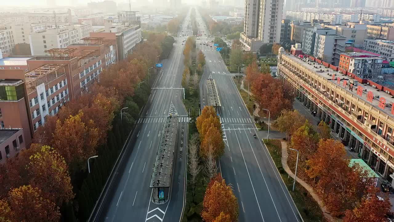 秋季城市道路航拍视频素材