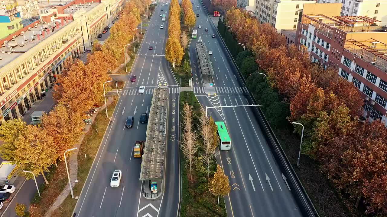 秋季城市道路航拍视频素材